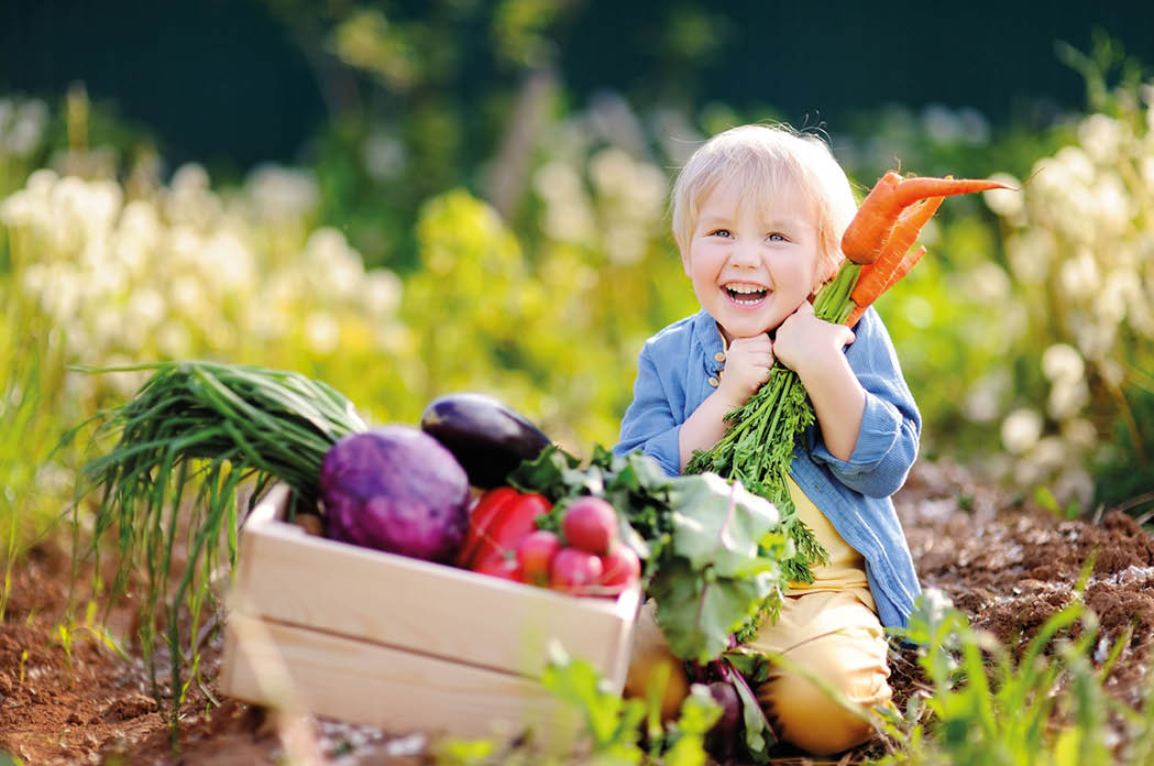 Cute little boy holding a bunch of fresh organic carrots in domestic garden  Healthy family lifestyle