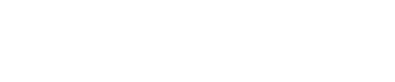 DIGITAL MARKETING CAMPAIGN OF THE YEAR