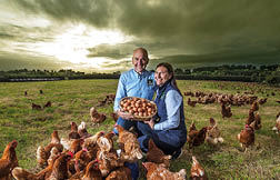 Cavanagh Eggs  picture by John McVitty - 07771987378 - 