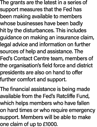 The grants are the latest in a series of support measures that the Fed has been making available to members whose bus...
