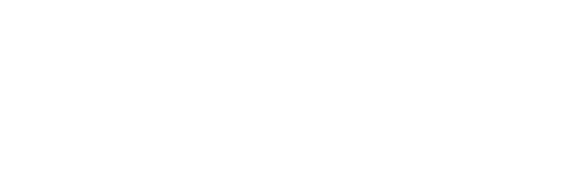 LIFETIME ACHIEVEMENT AWARD