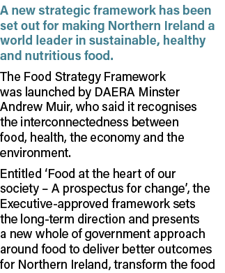 A new strategic framework has been set out for making Northern Ireland a world leader in sustainable, healthy and nut...
