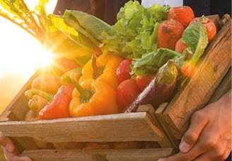 Fresh vegetables in wood box holding by farmer at beautiful sunset, Vegetable garden and healthy eating concept