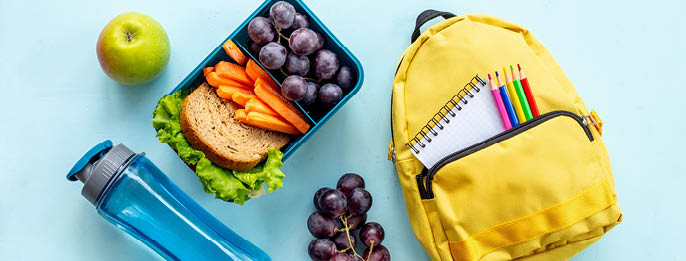School lunch box with sandwich, fruits and water.