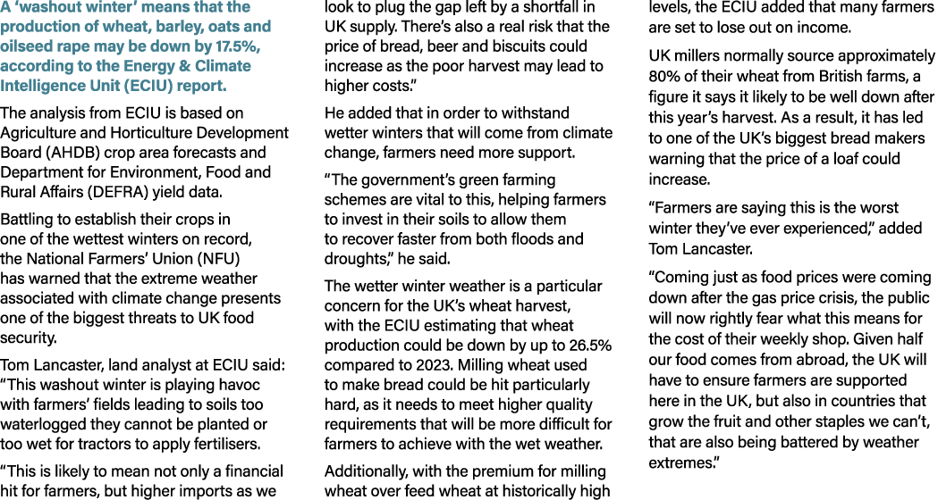 A ‘washout winter’ means that the production of wheat, barley, oats and oilseed rape may be down by 17.5%, according ...