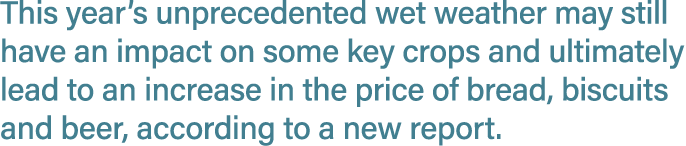 This year’s unprecedented wet weather may still have an impact on some key crops and ultimately lead to an increase i...