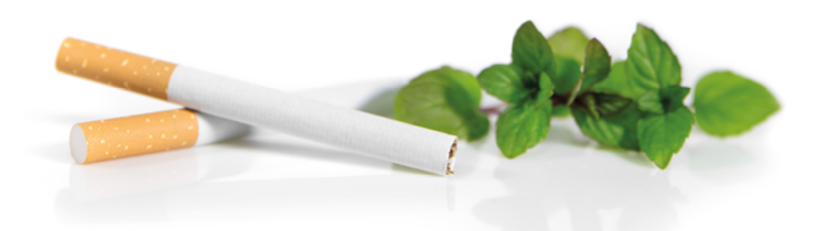 New Law in Germany, Menthol cigarettes are forbidden, cigarettes and Peppermint on white
