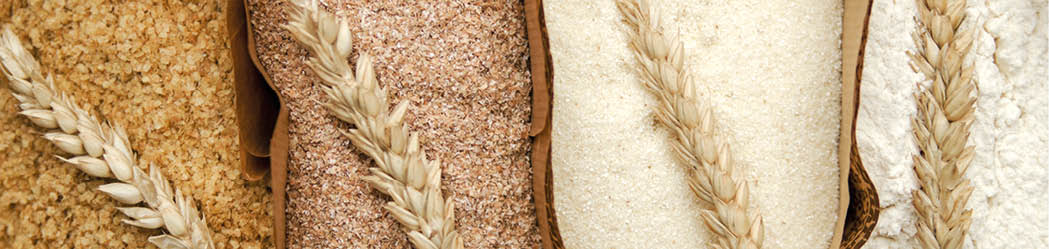 Different flour of wheat cereal in bakery bags.Texture of four wheat in mill:milled wheat sprouts, wheat bran,semolina flour,durum.Top view 