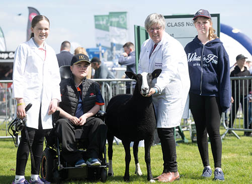 A woman in a white lab coat is holding a black sheep. AI generated content