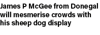 James P McGee from Donegal will mesmerise crowds with his sheep dog display
