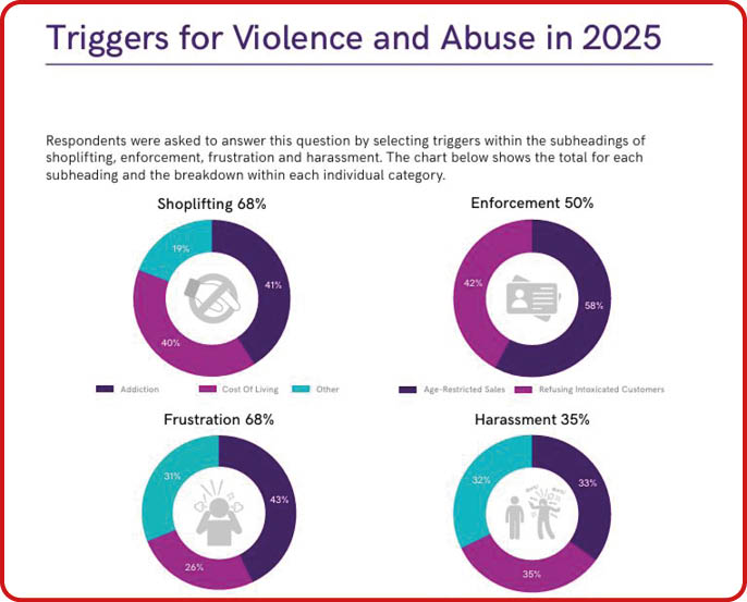 A pie chart shows the percentage of people who have experienced violence and abuse in 2020. AI generated content