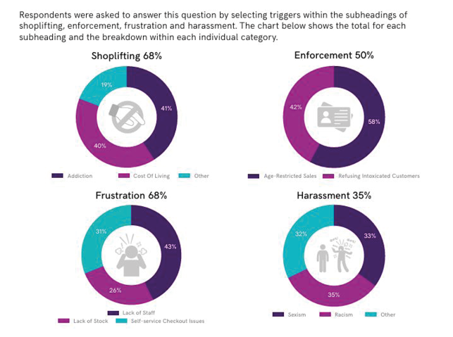 A pie chart shows the percentage of people who have experienced violence and abuse in 2020. AI generated content