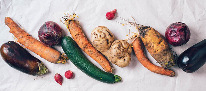 Ugly organic rotten vegetables with mutations on craft paper background. Concept of zero waste production. Copy space. Spoiled non gmo vegetables with dots. Compost