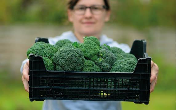 A person wearing glasses holds a black crate filled with fresh broccoli outdoors. Description generated by AI