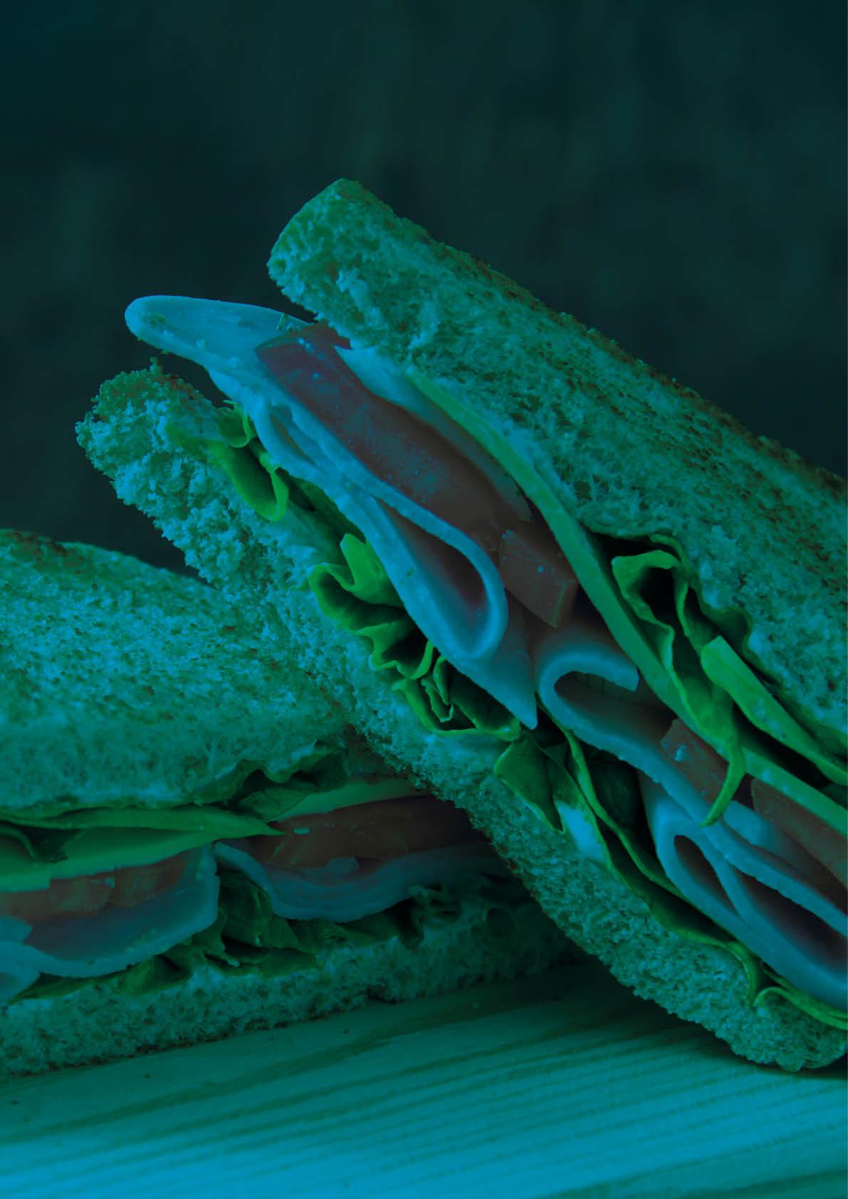 Sandwich bread tomato, lettuce and yellow cheese