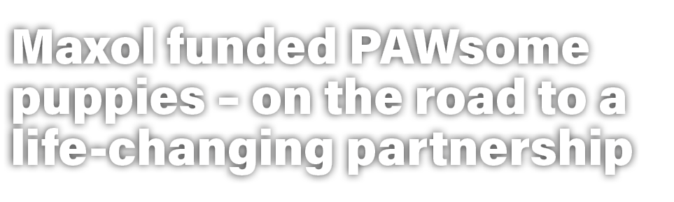 Maxol funded PAWsome puppies – on the road to a life changing partnership 
