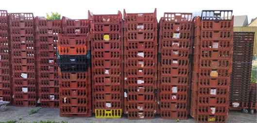 Stacks of empty red plastic crates are arranged outdoors on a concrete surface in bright daylight. Description generated by AI