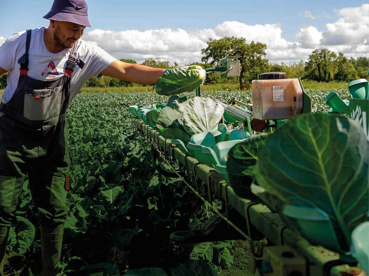Gilfresh Shoot Gilfresh  Co.Armagh  23 August 2022 CREDIT: LiamMcArdle.com