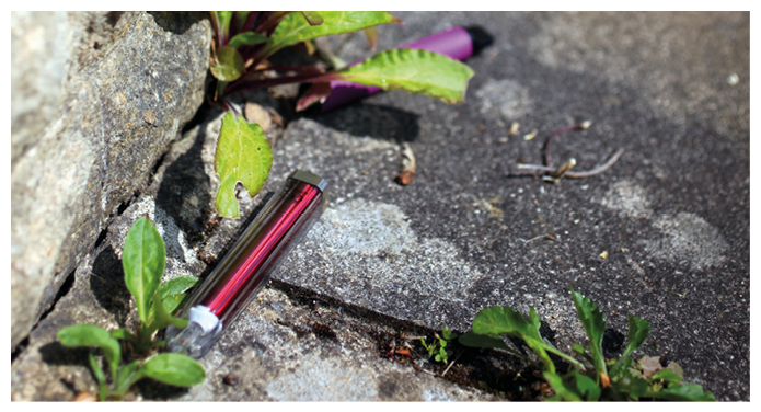 Discarded single use vapes lying by weeds on concrete pavement beside pale brick wall