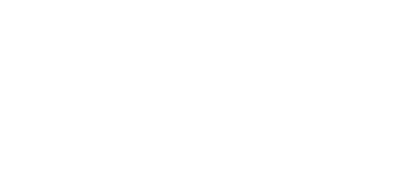 Providing leadership and guidance in a fast paced environment