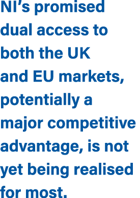 NI’s promised dual access to both the UK and EU markets, potentially a major competitive advantage, is not yet being ...