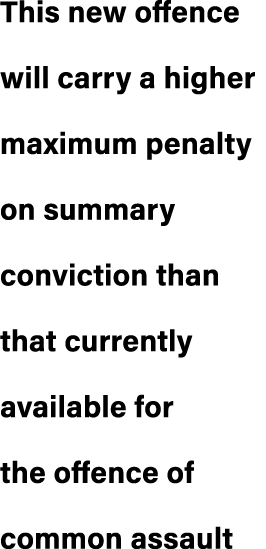 This new offence will carry a higher maximum penalty on summary conviction than that currently available for the offe...