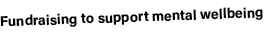Fundraising to support mental wellbeing