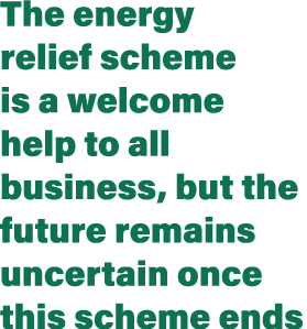 The energy relief scheme is a welcome help to all business, but the future remains uncertain once this scheme ends