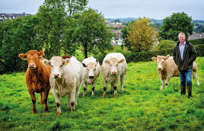  photo: drewmcwilliams.com 