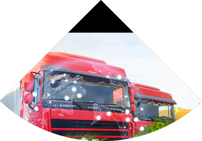 Collage with trucks, world globe, vegetables and herbs. Wholesale concept