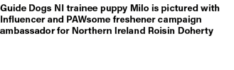 Guide Dogs NI trainee puppy Milo is pictured with Influencer and PAWsome freshener campaign ambassador for Northern I...