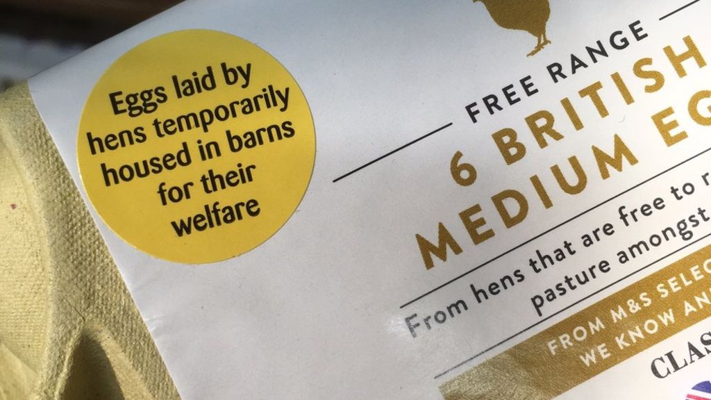 NI poultry farmers braced as GB eggs change ‘free range’ labels