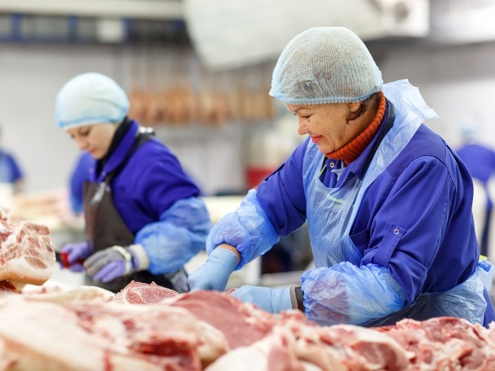 Meat Processing Plants Vulnerable to Covid outbreaks