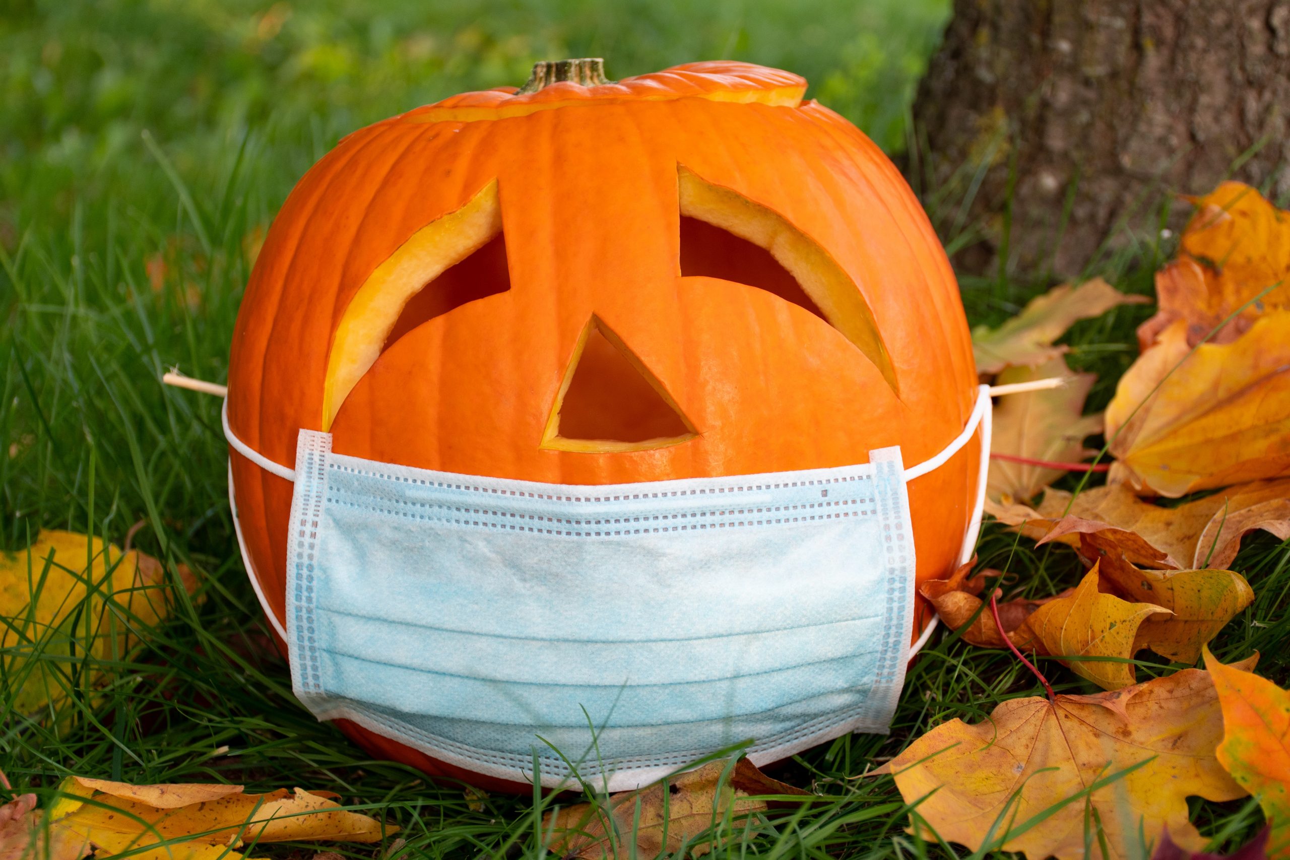 Unhappy Halloween – VAT holiday for PPE ended 31st October