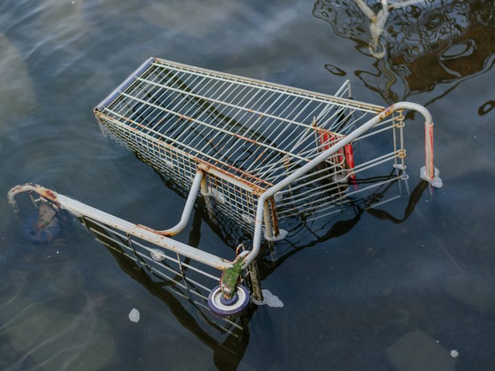 Over fifty shopping trolleys pulled out of Lough Shore by Eco Rangers