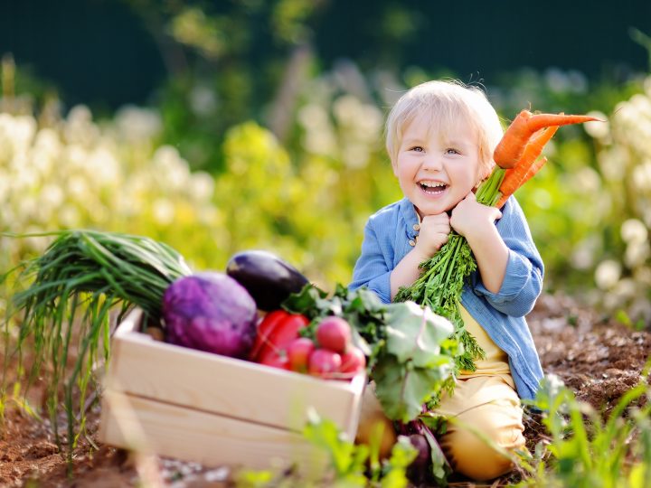 NI Regional Food Programme opens