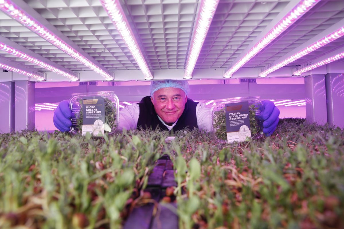 SuperValu’s vegetables reach new heights with launch of Ireland’s first hydroponically grown microgreen mixes