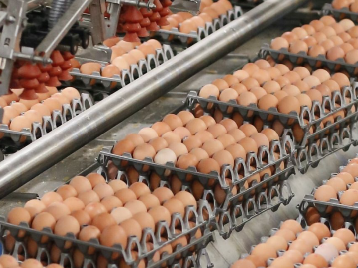 Fermanagh food manufacturer Ready Egg Products acquires Skea Eggs