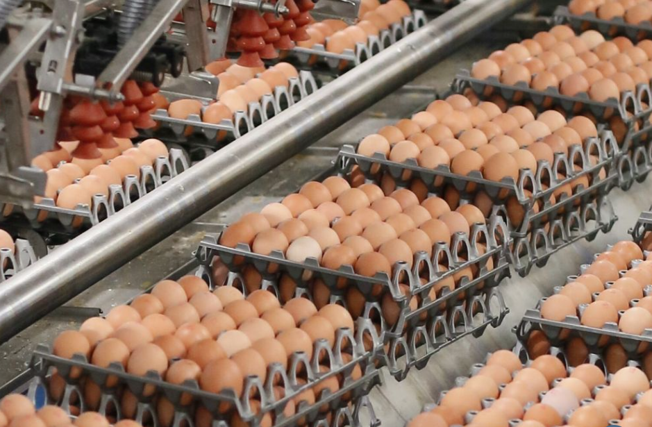 Fermanagh food manufacturer Ready Egg Products acquires Skea Eggs