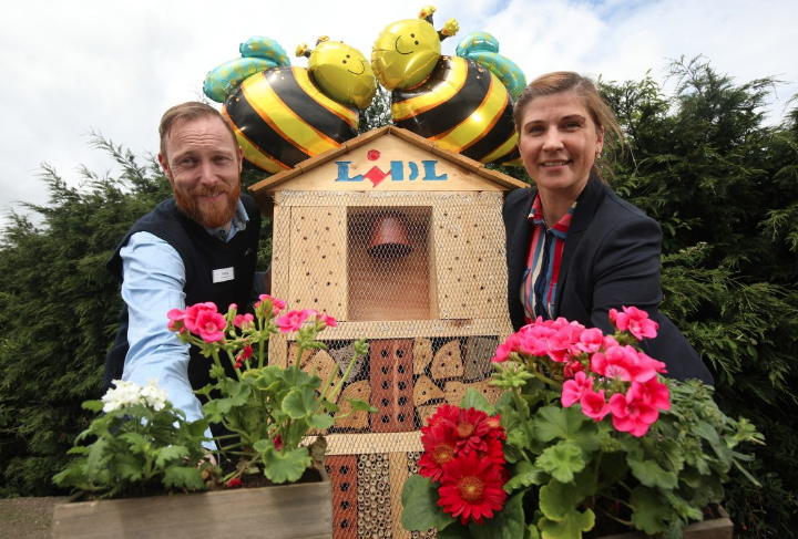 Lidl Northern Ireland launches new pollinator gardens at stores