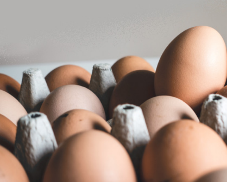 Sales and pre-tax profits up for Skea Eggs owner