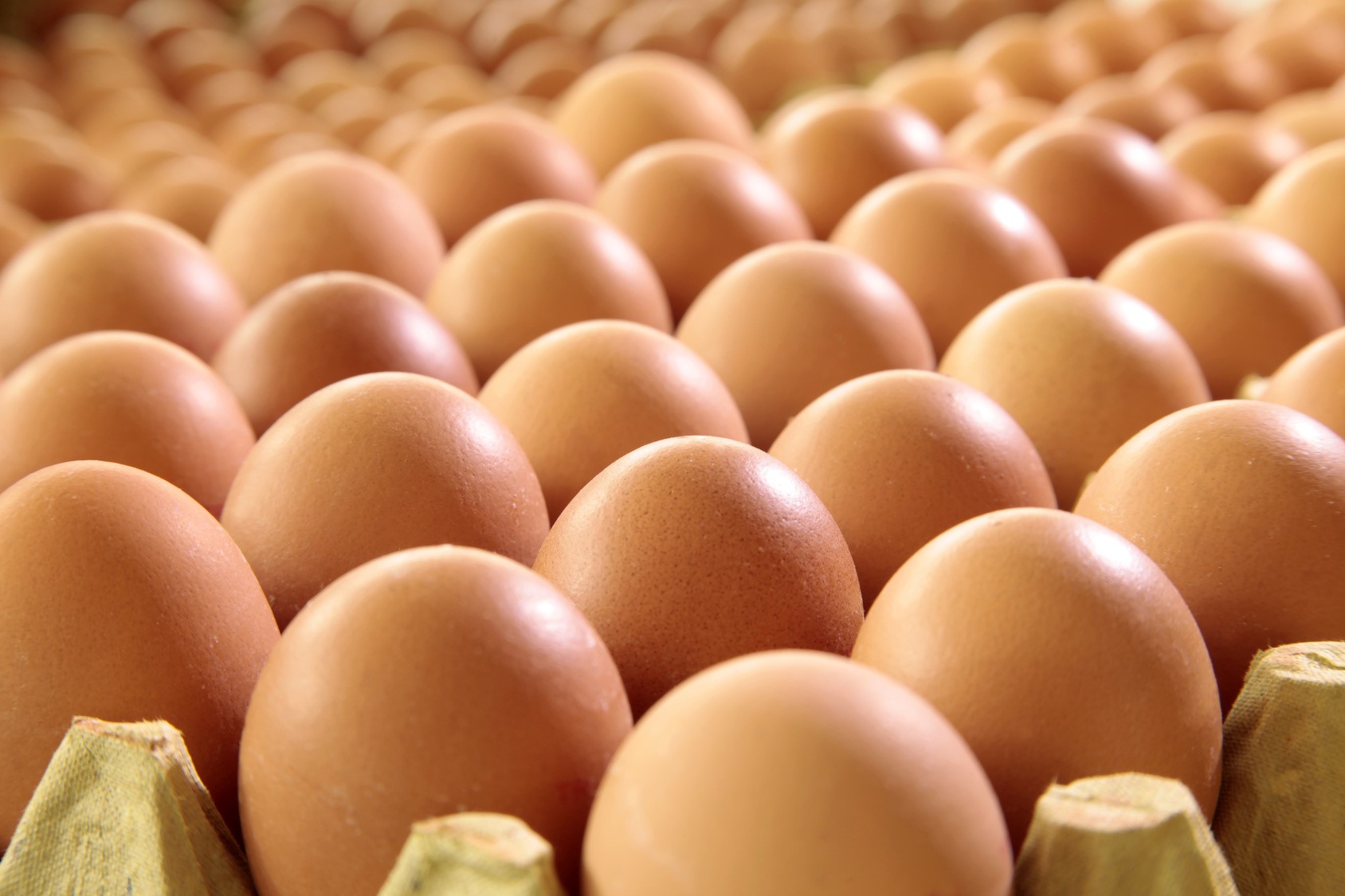 Supermarkets limit egg sales due to ‘supply issues’