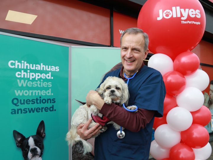 Jobs created with opening of Jollyes store on Boucher Road
