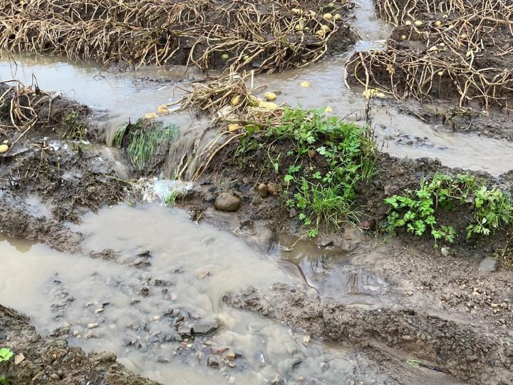 Farmers’ crops seriously impacted by severe flooding incident