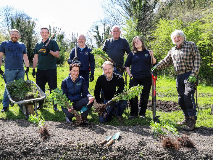 Maxol teams up with The Conservation Volunteers for Tree Planting Initiative