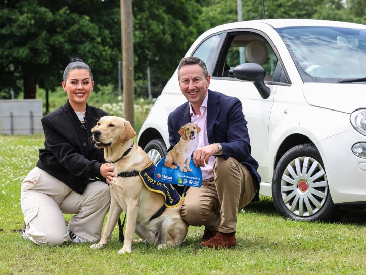 Turning Scents into Pence: Maxol launches new charity initiative for Guide Dogs NI