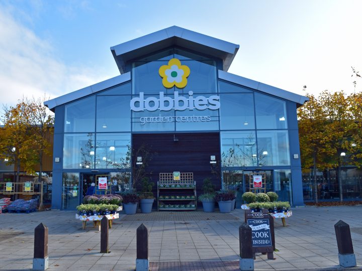 Consultancy firm brought in amid Dobbies Garden Centres restructuring plans