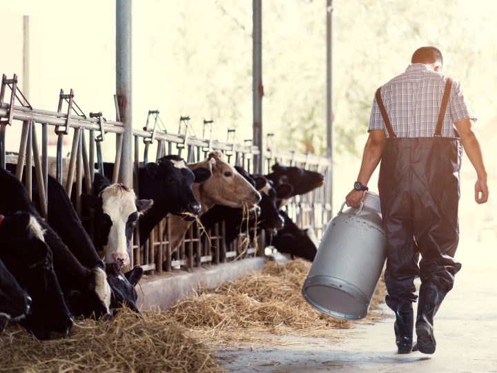 Sustainability partnership launched between Tesco and milk suppliers