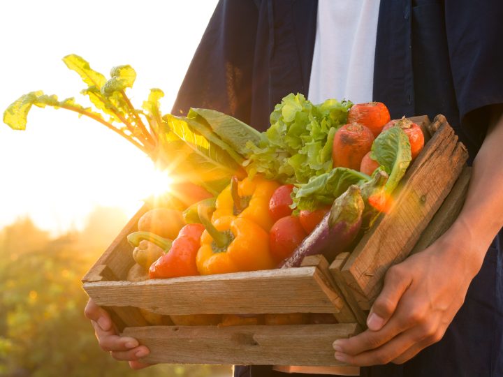 DAERA gets green light for legislation to support local fruit and veg growers