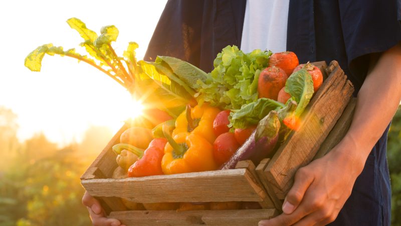 DAERA gets green light for legislation to support local fruit and veg growers